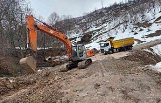 Eriyen kar heyelana sebep oldu