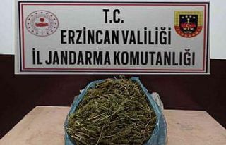 Erzincan’da 2 kilo 848 gram kubar esrar ele geçirildi