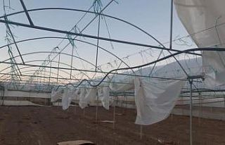 Eskişehir’de şiddetli lodos seralara maddi zarar...