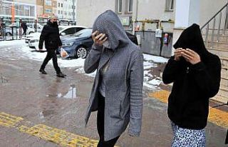 Ev ve iş yeri fareleri yakalandı