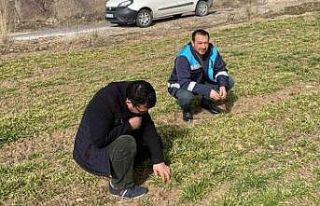 Gediz’de hububat çıkış kontrolleri