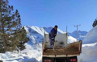 Gelesandra yolunda tuzlama çalışması