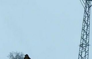 Gercüş’te karda mahsur kalan 4 kişi kurtarıldı