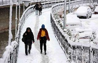 Gümüşhane’de kar yağışı