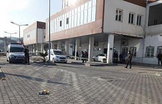 Güvenlik görevlilerin vurulduğu olayda sanıkların...