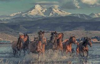 Hacılar’ın yazı ayrı, kışı ayrı güzel