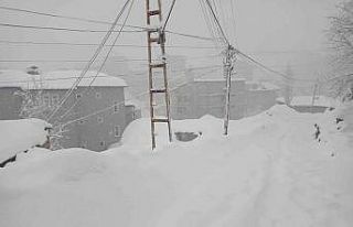 Hakkari’de 20 yerleşim yerinin yolu ulaşıma kapandı