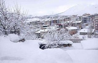 Hakkari’de 239 yerleşim yerinin yolu kapandı