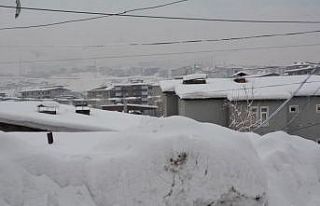 Hakkari’de 78 yerleşim yerinin yolu ulaşıma kapandı