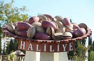 Haliliye’nin nufüsu 31 ili geride bıraktı