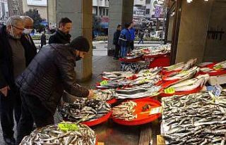 Hamsiden sonra istavrit de artık tezgahlardan çekiliyor