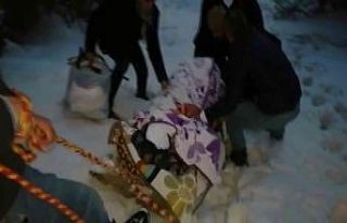 Hastayı tahta kızak ile ambulansa ulaştırdılar