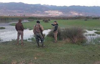Hatay’da son 1 ayda kaçak avlanan 34 kişiye 55...