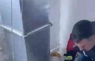 Havalandırmada sıkışan yavru kediyi itfaiye kurtardı