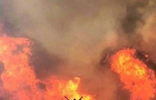 Hayırsever gurbetçiler, küle dönen ormanlarını...