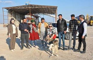 Hayvan hakları savunucuları Suriye sınırındaki...