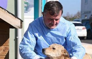 Hayvan Hastanesi’nin Umut’u oldu