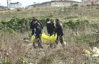 Hayvan pazarında başından vurulmuş halde ölü...