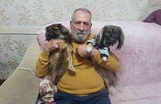 Her yerde kaybolan köpeklerini arıyorlar