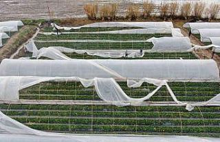 Hortumun vurduğu seralarda çitçinin hasar tamiri...