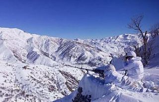 İçişleri Bakanlığınca Eren Kış-18 Hakkari-Kazan...