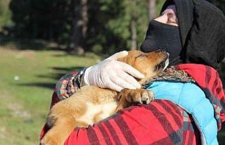 İki ev hanımının büyük fedakarlığı