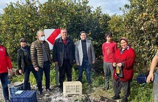 İl Tarım Müdürü Saylak, Köyceğizli üreticiler...