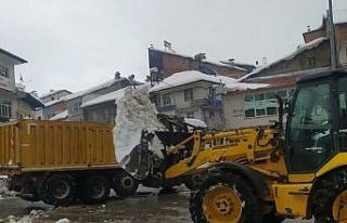 İlçe merkezindeki karlar kamyonlarla taşınıyor