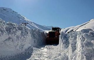 İnsan boyunu aşan karda yol açma çalışması
