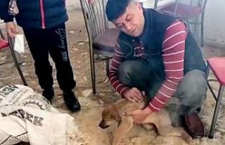 İnsanlık ölmemiş dedirten davranış