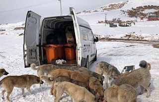 İpekyolu Belediyesinden örnek çalışma