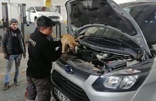 Isınmak için girdiği aracın motorundan çıkmak...