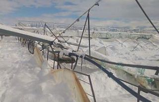 Isparta’da seralar yoğun kar yağışına dayanamadı