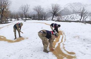 Jandarma ekipleri yaban hayvanlarını unutmadı:...