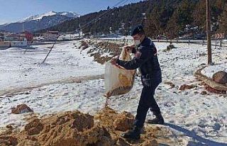 Jandarmadan yaban hayvanlarına yem
