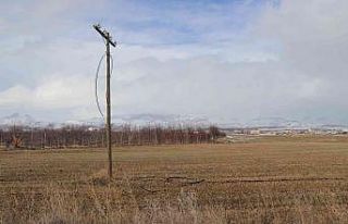 Kablo hırsızı polisten kaçamadı
