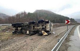 Kamyon demir bariyerlere çarparak devrildi: 1 yaralı