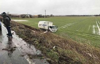 Kamyonet tarlaya uçtu