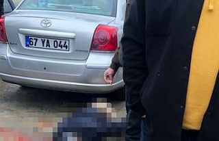 Kamyonun çarptığı adam kurtarılamadı