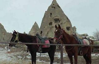 Kapadokya’da herkes ‘at’ koşturamayacak