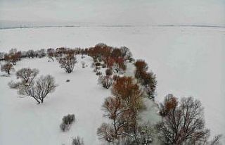 Kar manzarası dorone ile görüntülendi