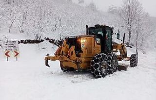 Kar sebebiyle kapanan 63 mahalledeki okul yolları...