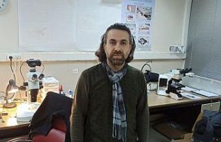 Kar üzerinde görüntülenen yılan bilim dünyasını...