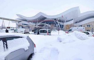 Kar yağışı hava ulaşımında aksamalara neden...