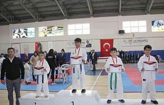 Karatede madalyalar sahiplerini buldu