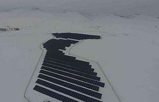 Kardan elektrik üretiyorlar