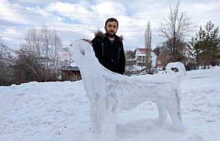 Kardan Kangal ilgi odağı oldu