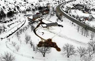 Karınları doyan süt kuzularının ahırda neşeli...
