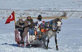Kars’ta masalsı atlı kızak seferleri sürüyor