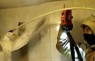 Kartal’da itfaiye ekiplerinden mahsur kalan martıyı...